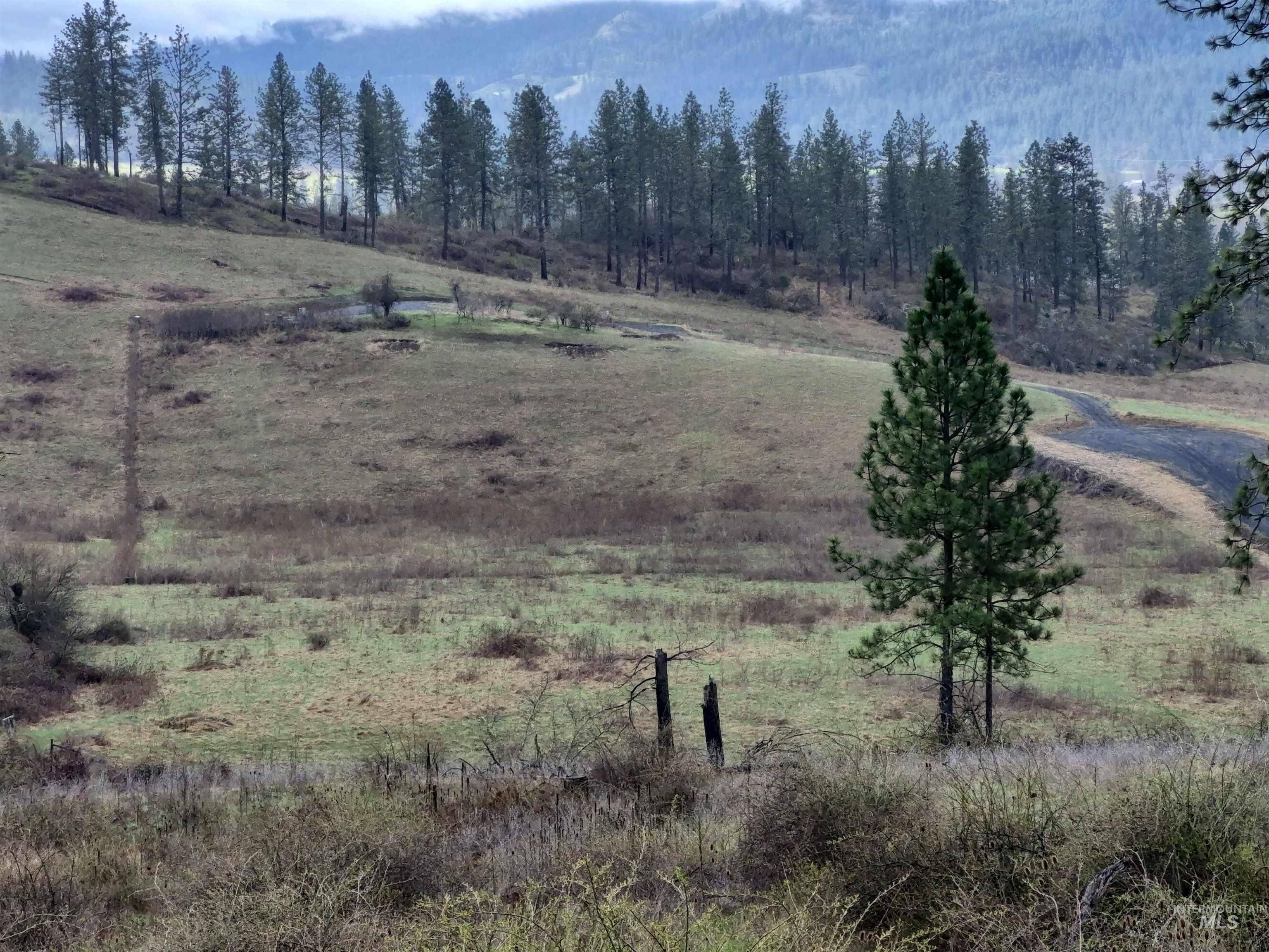 TBD Elk Hill St. Lot # 3