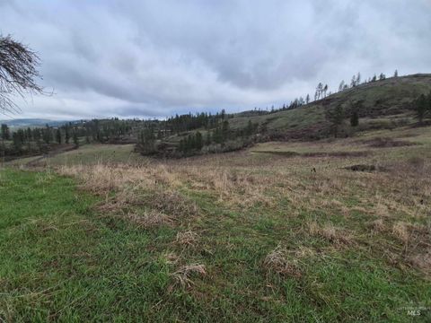 TBD Elk Hill St. Lot # 3 Kamiah ID 83536
