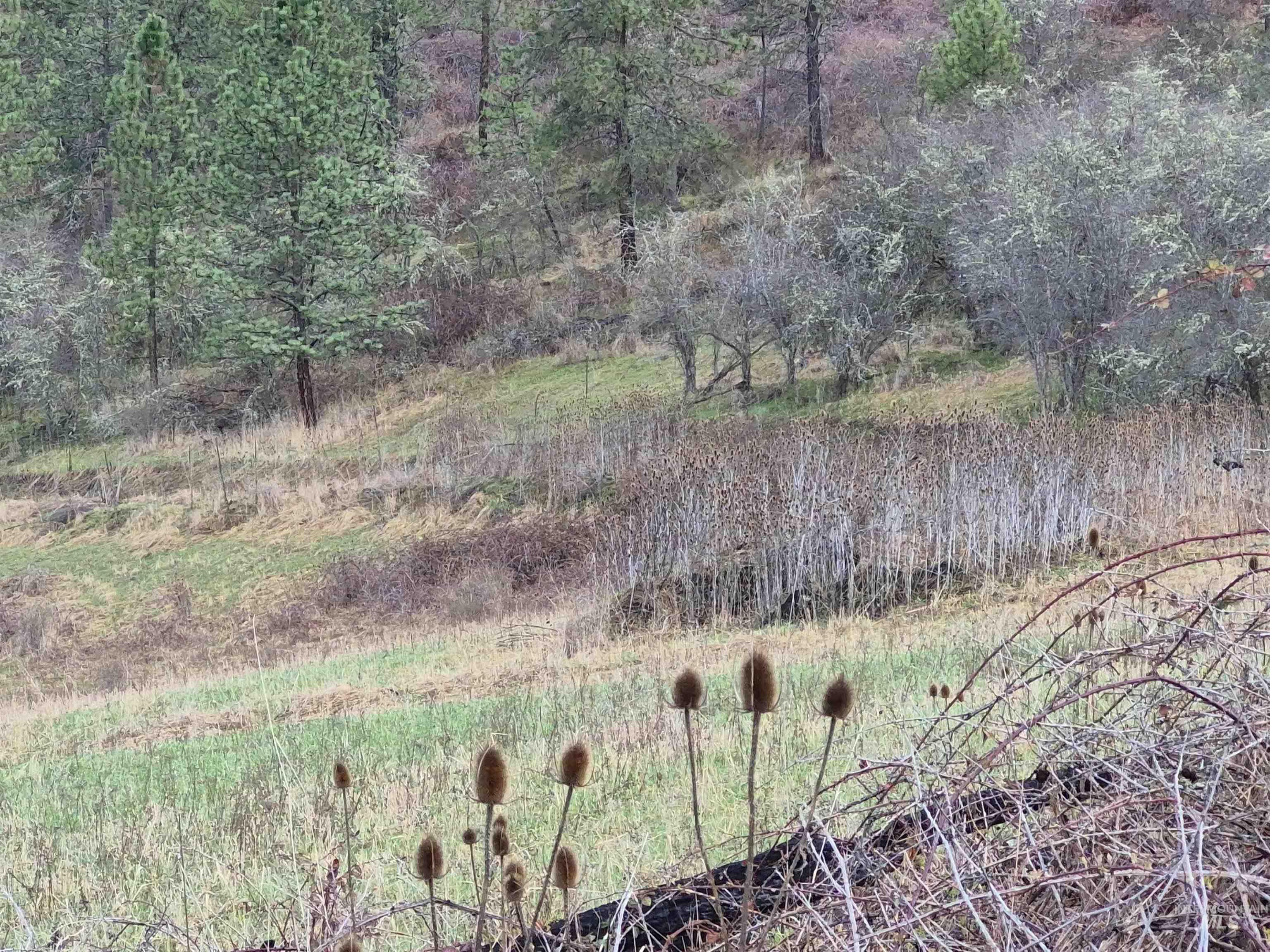 TBD Elk Hill St. Lot # 3