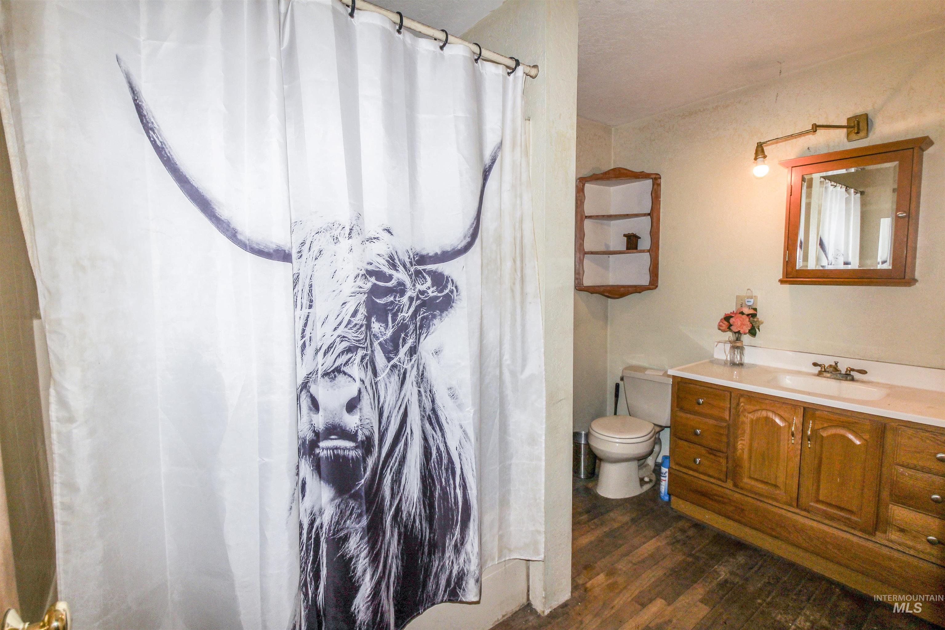 Full bathroom featuring dark wood finished floors, vanity, and curtained shower