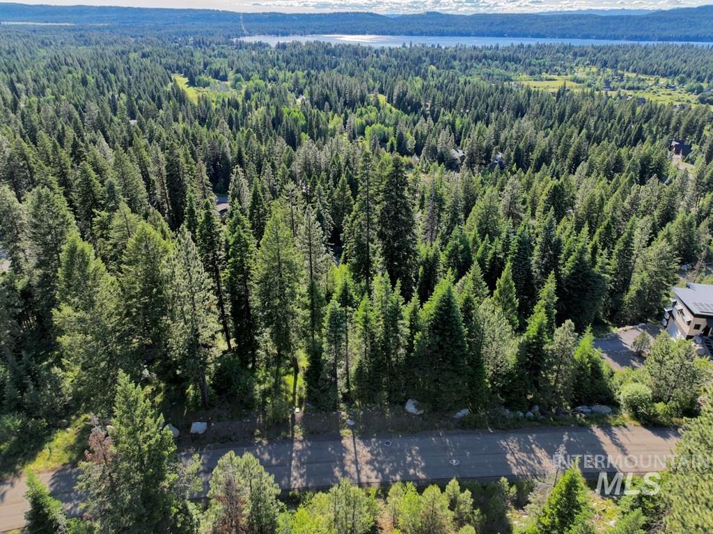 Aerial view of a forest