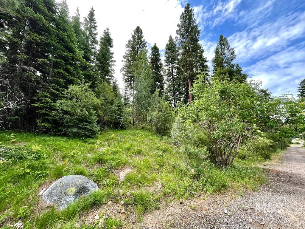 View of local wilderness
