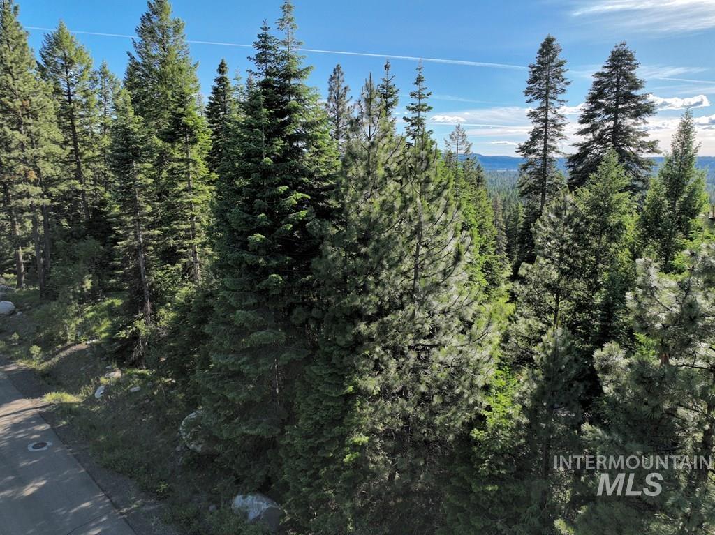 View of mountain backdrop featuring a forest