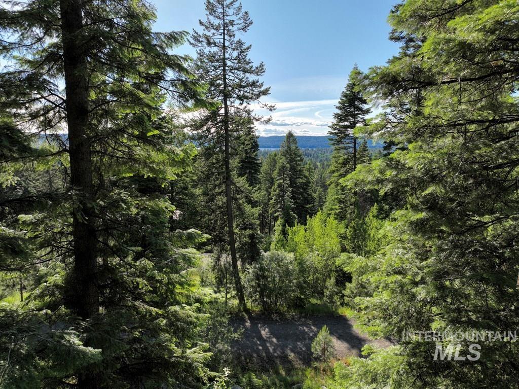 View of woods