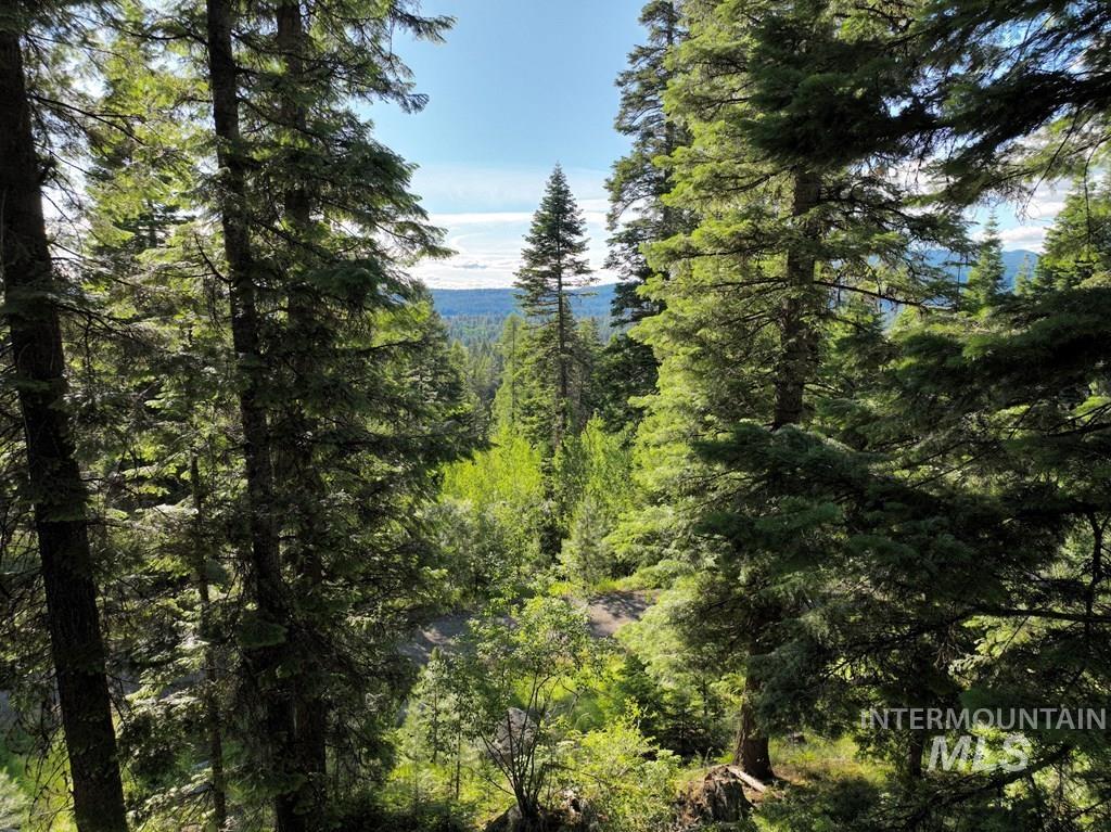 View of mountain backdrop featuring a forest
