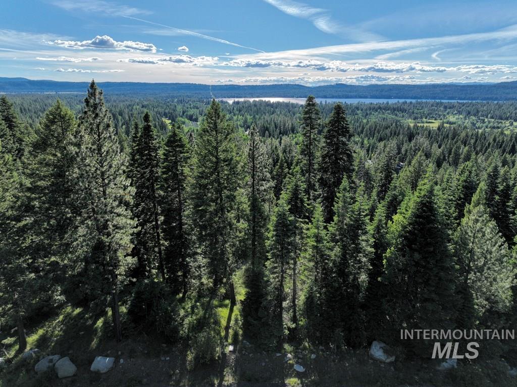 Drone / aerial view of a heavily wooded area