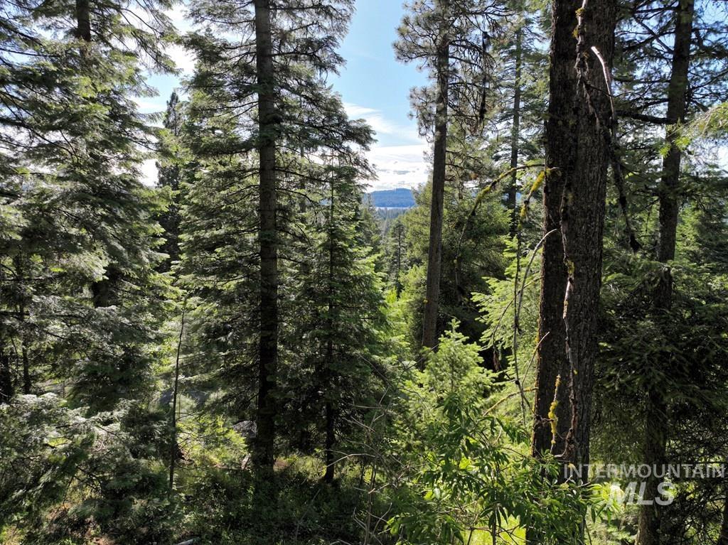 View of woods