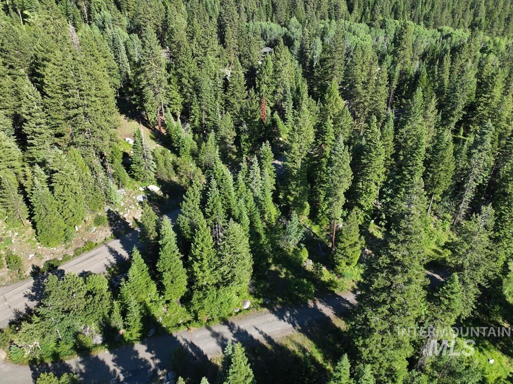 Bird's eye view of a heavily wooded area