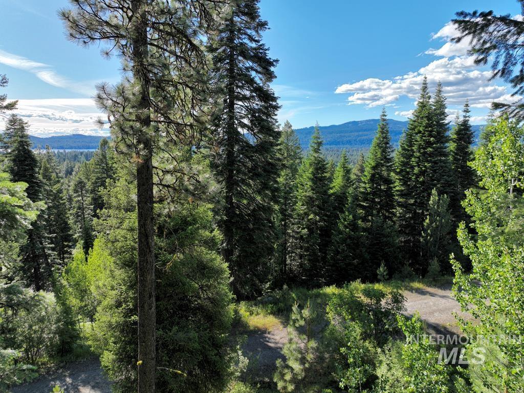 View of mountain backdrop with a heavily wooded area