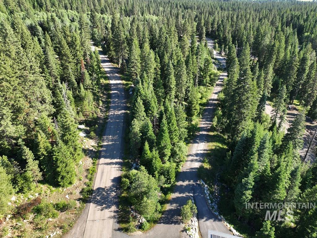 Aerial view of a forest
