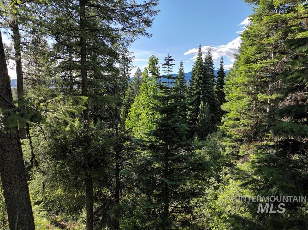 View of wooded area