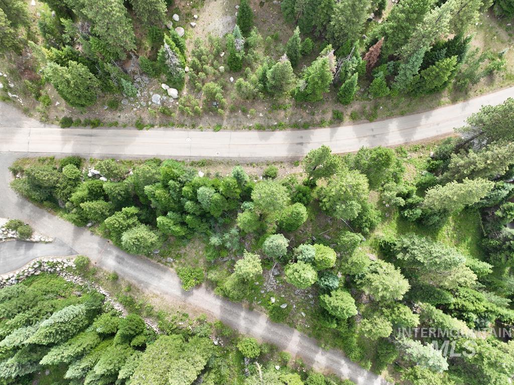 Bird's eye view of a tree filled landscape