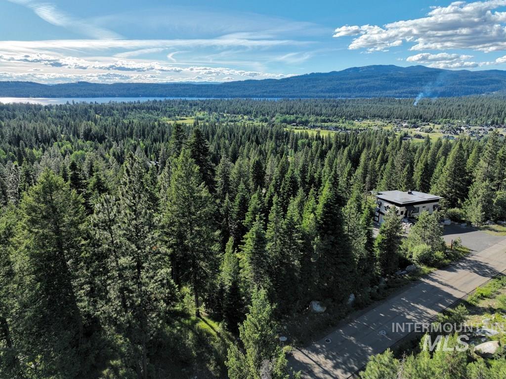 Drone / aerial view of mountains and a forest