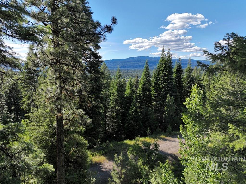 Mountain view featuring a forest
