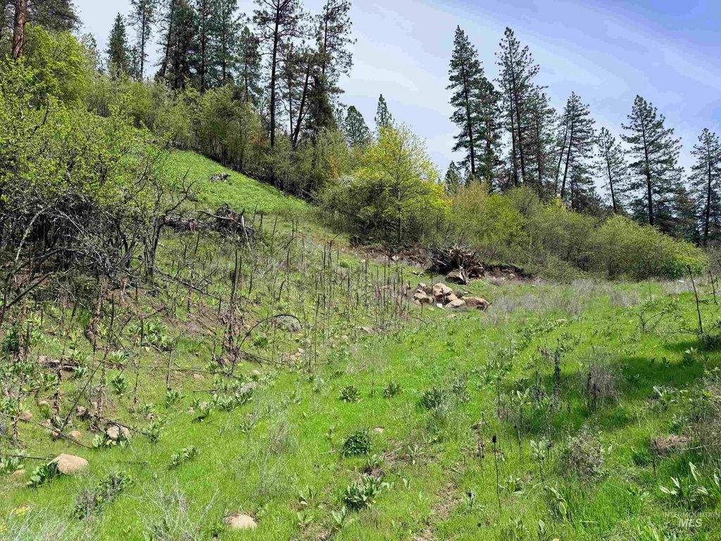 Photo of 1620 Forsman Ave, Orofino, ID 83544 (MLS # 98982879)