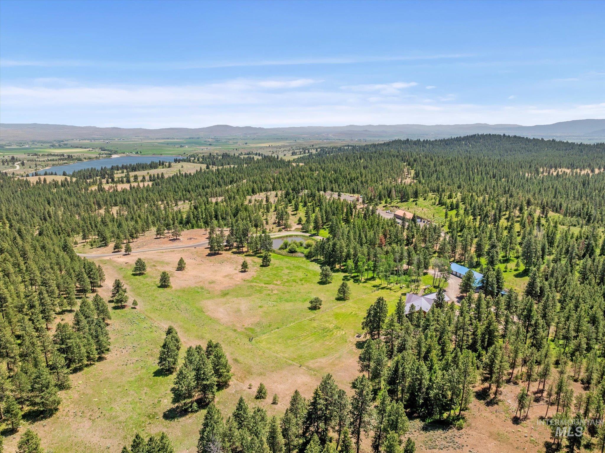 Aerial view of a forest and a water and mountain view