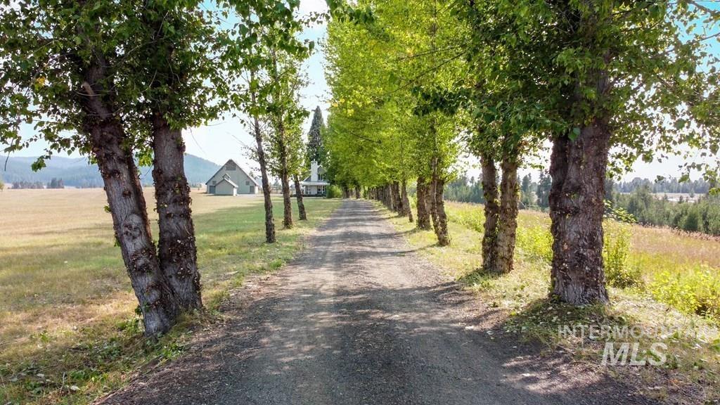 View of dirt / gravel road featuring a rural view