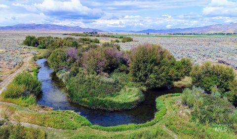 Photo of 428 Cutoff Road, Picabo, ID 83313 (MLS # 98970426)