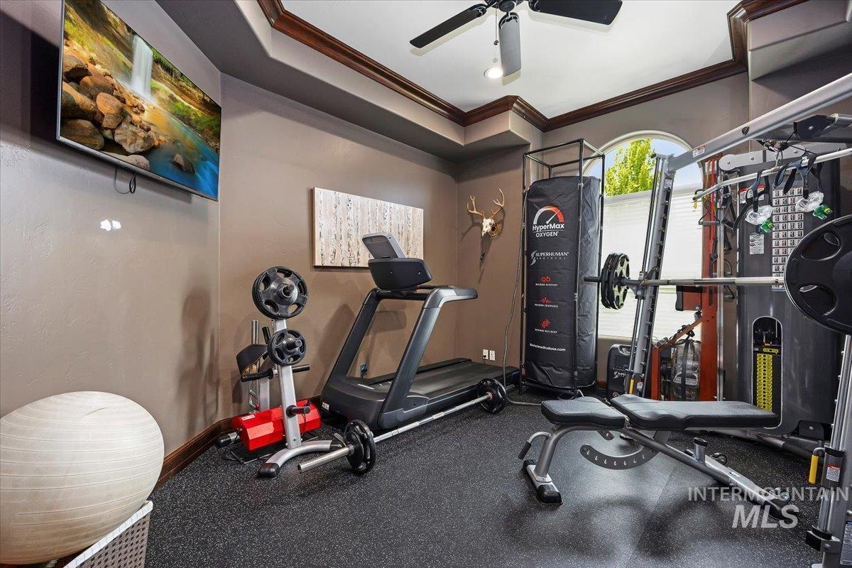 Workout area with crown molding and ceiling fan