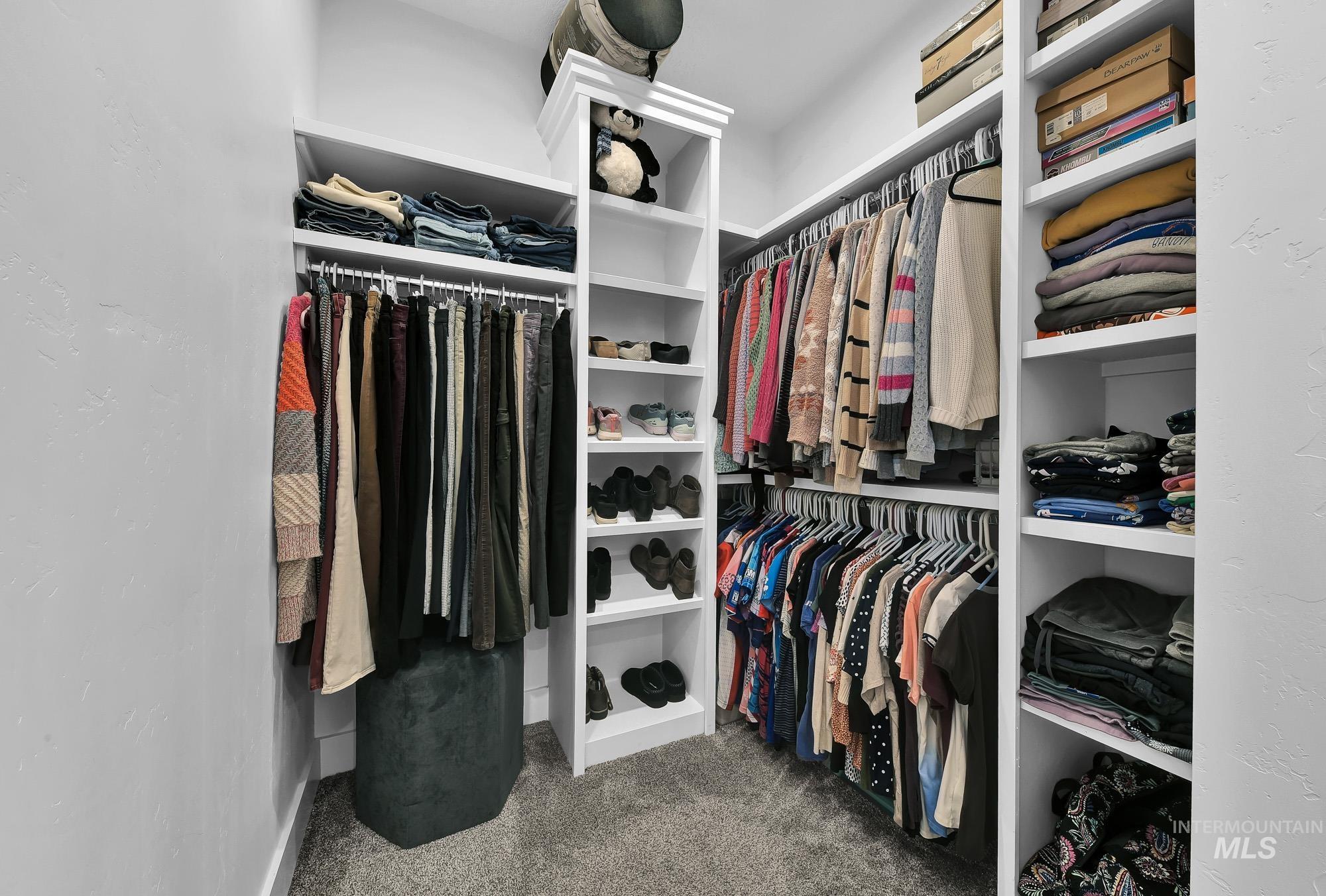 Walk in closet with dark colored carpet