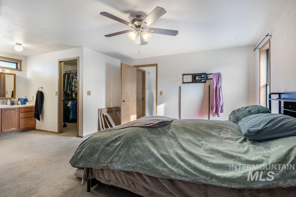 Bedroom with light colored carpet, a walk in closet, a ceiling fan, and ensuite bathroom