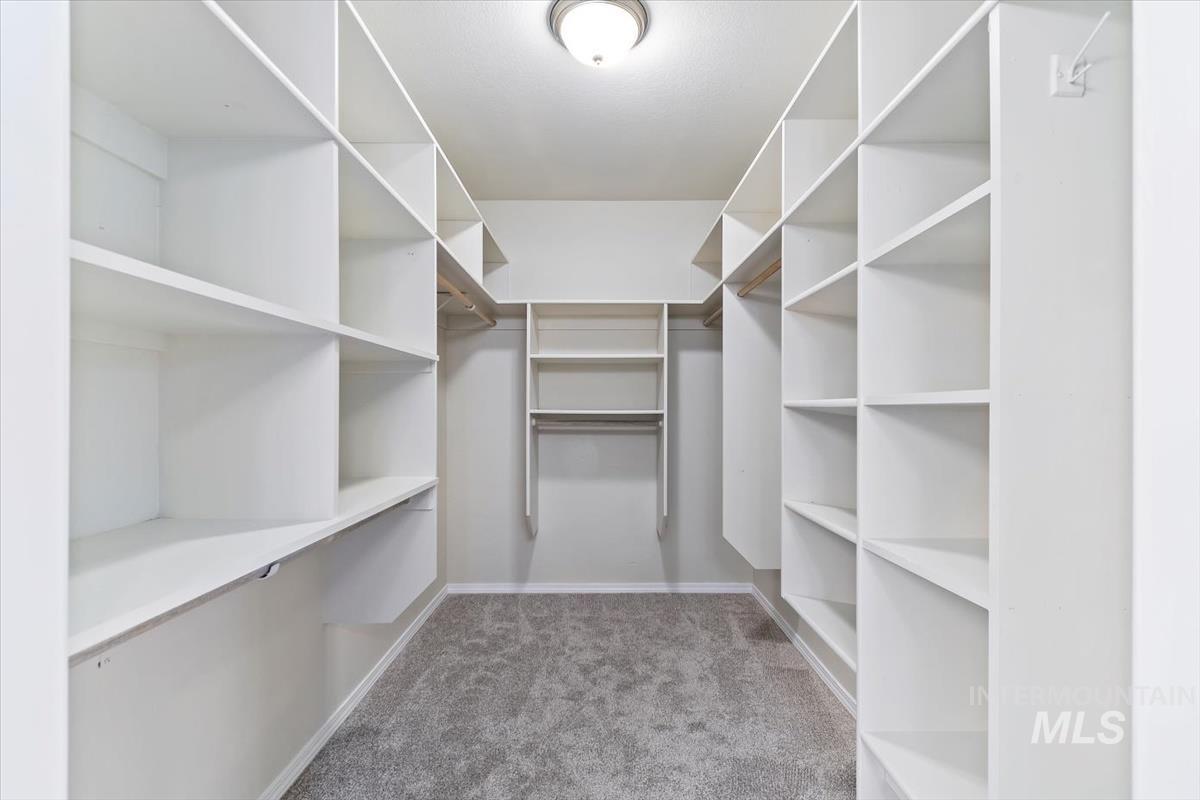 Spacious closet with carpet flooring