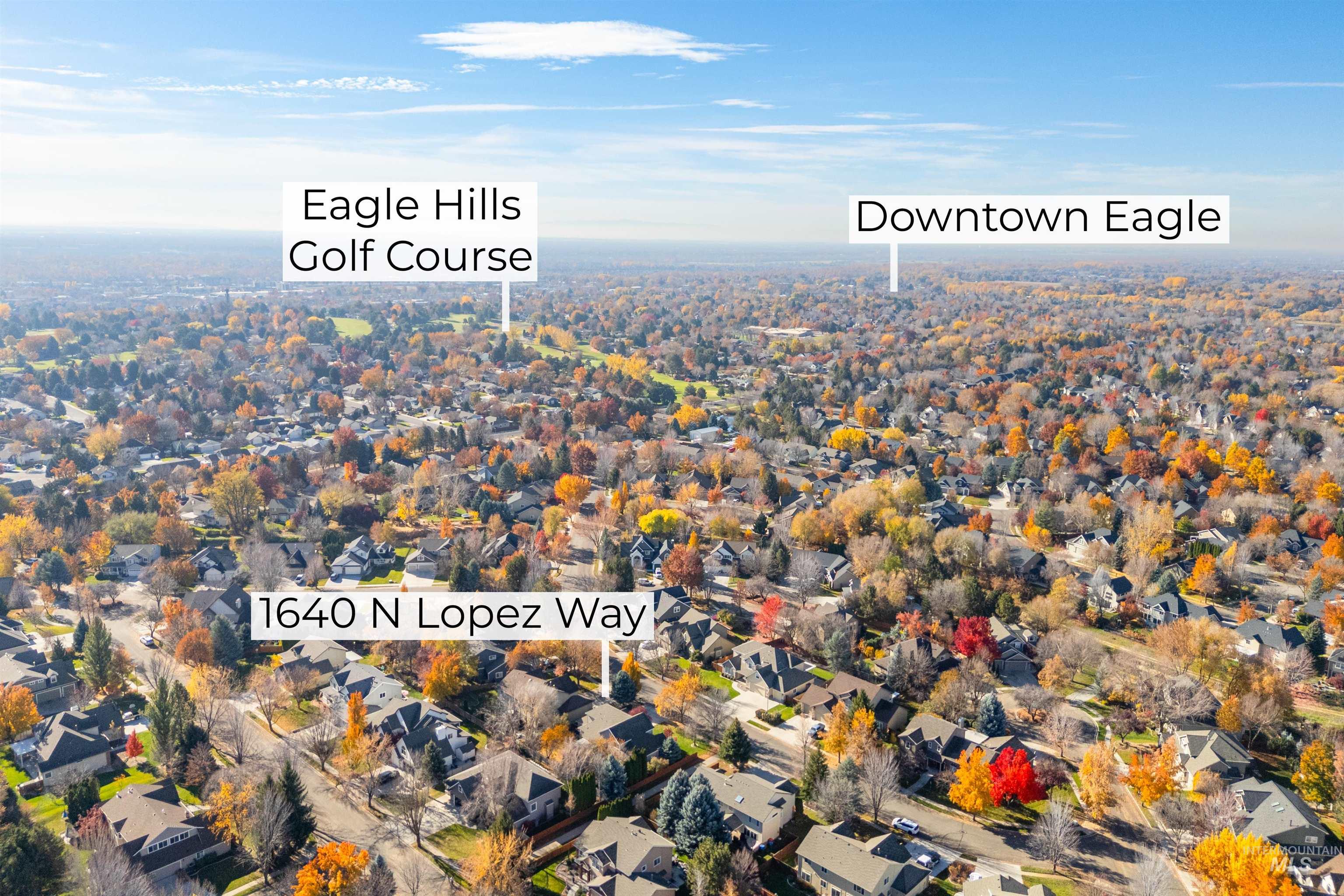 Aerial perspective of suburban area