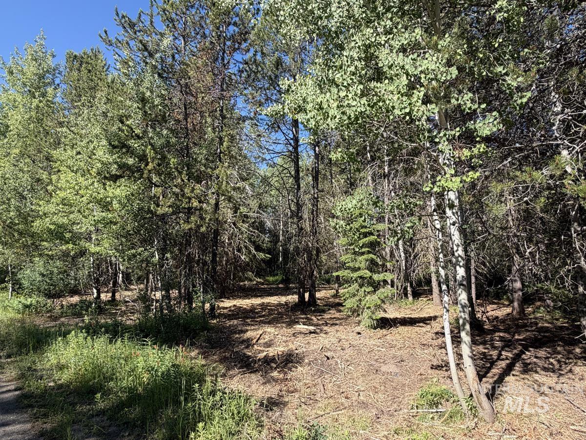 Close to Boulder Creek Boat Ramp