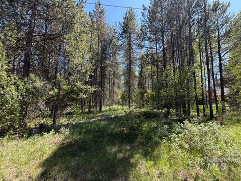 Photo of 137 Lake Trail Drive, Donnelly, ID 83615 (MLS # 98977567)