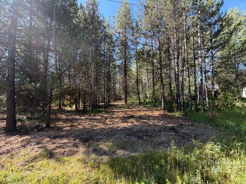Photo of 137 Lake Trail Drive, Donnelly, ID 83615 (MLS # 98977567)