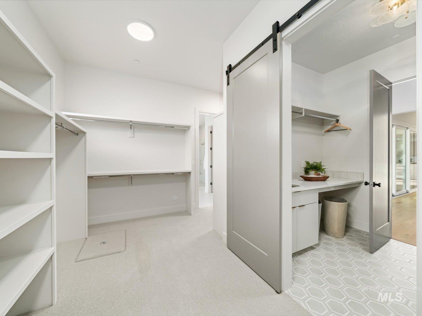 Spacious closet featuring light carpet