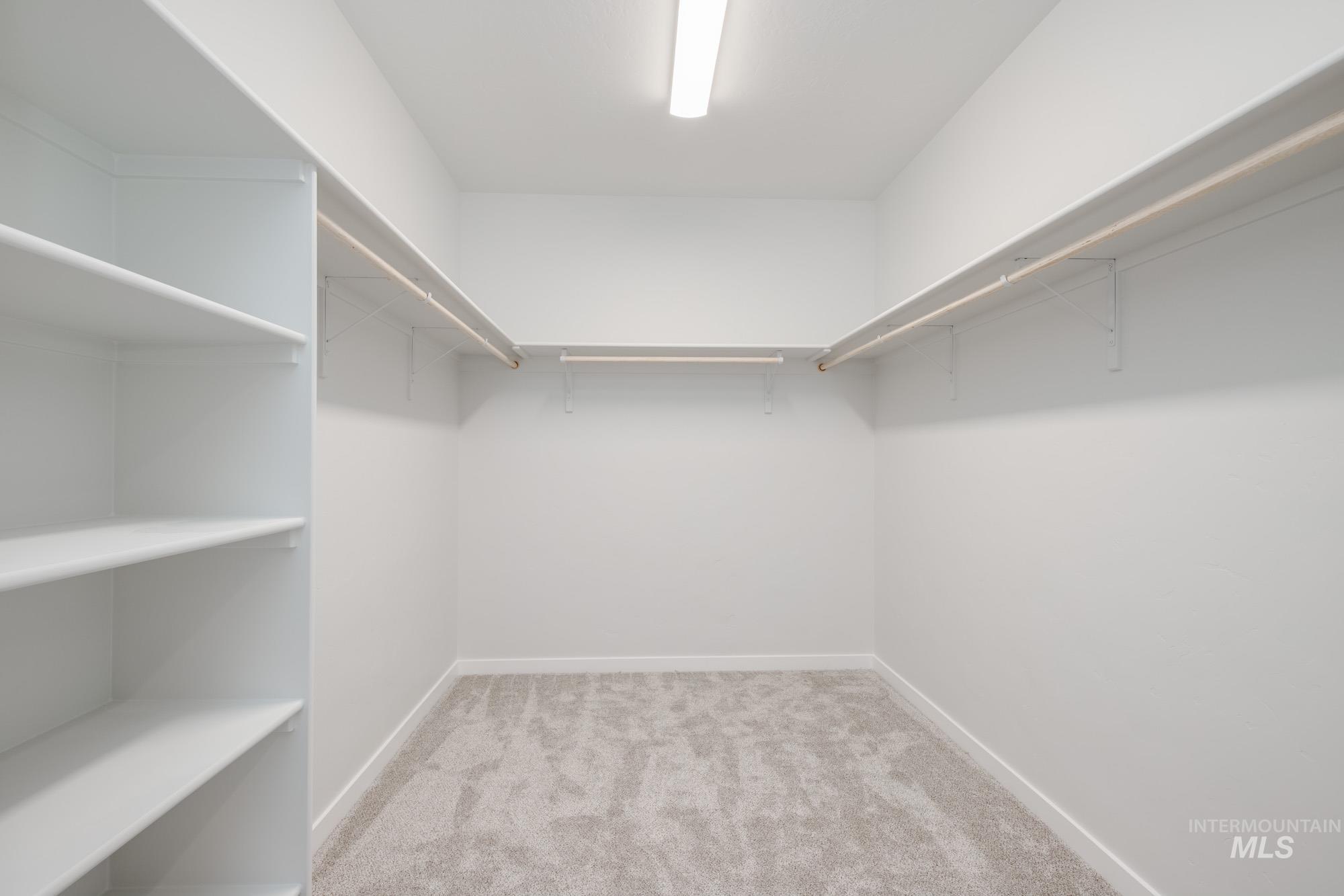 Spacious closet with carpet flooring