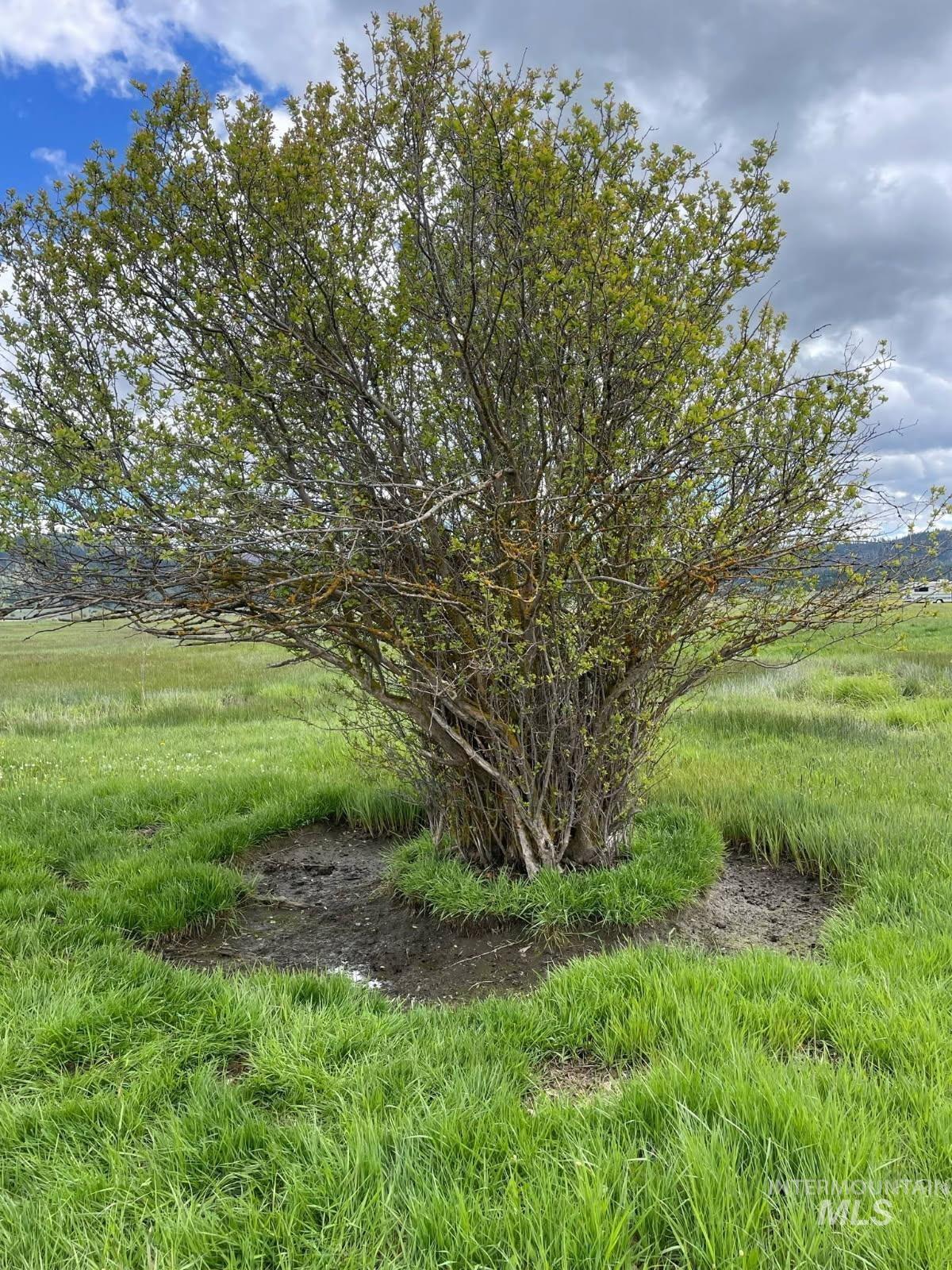 View of undeveloped land