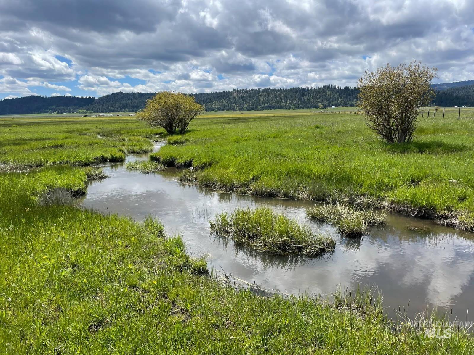 Water view featuring rural landscape