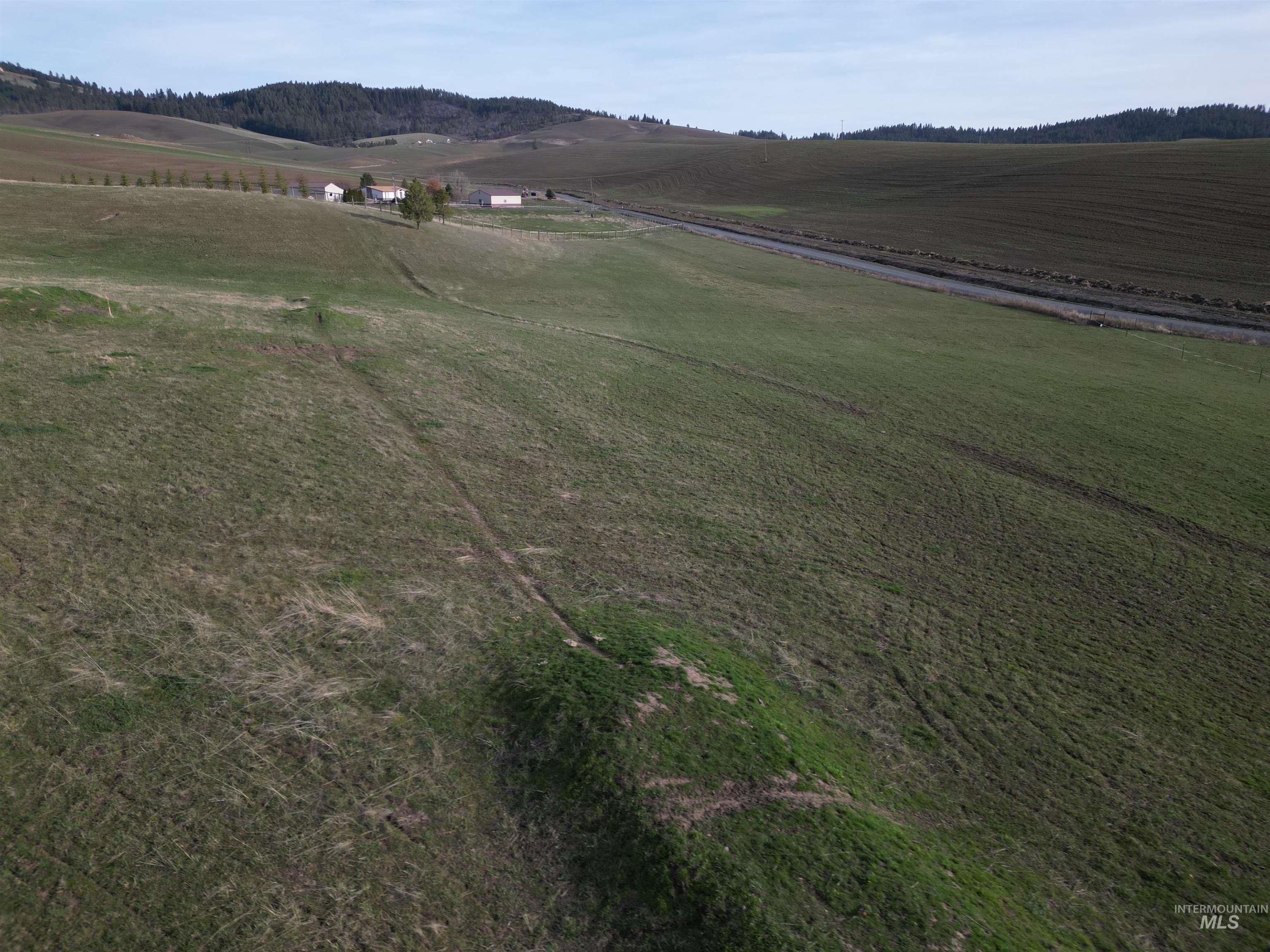 000 Viola Ln (Lot 2)