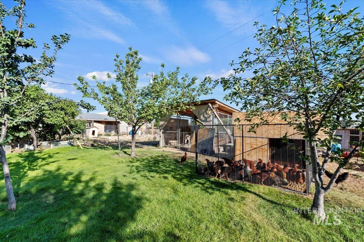 View of grassy yard with an outbuilding and exterior structure