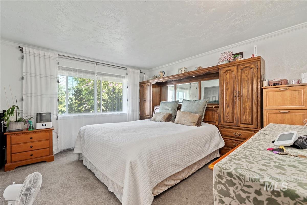 Bedroom featuring ornamental molding, carpet flooring, and a textured ceiling