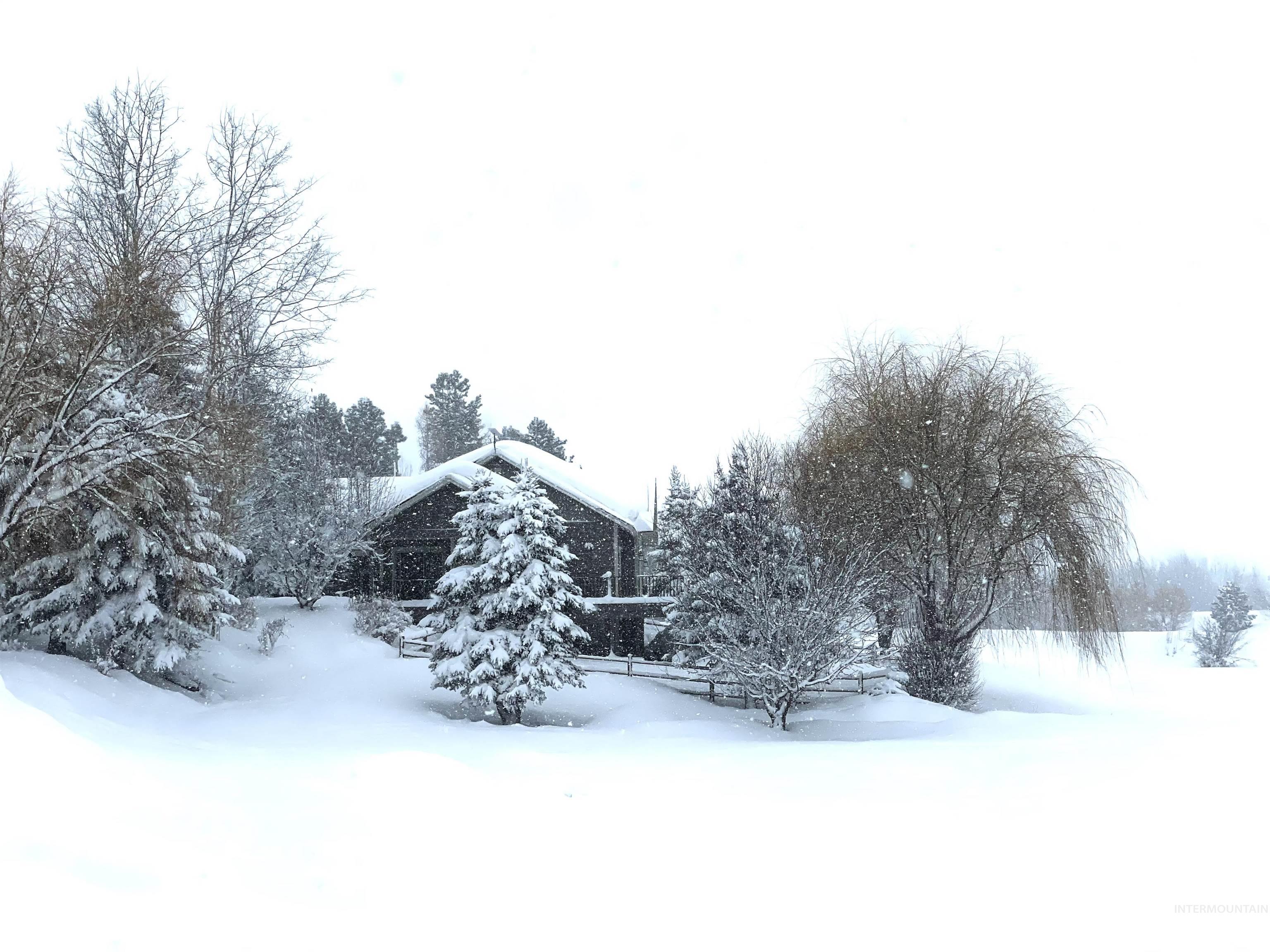 View of yard layered in snow