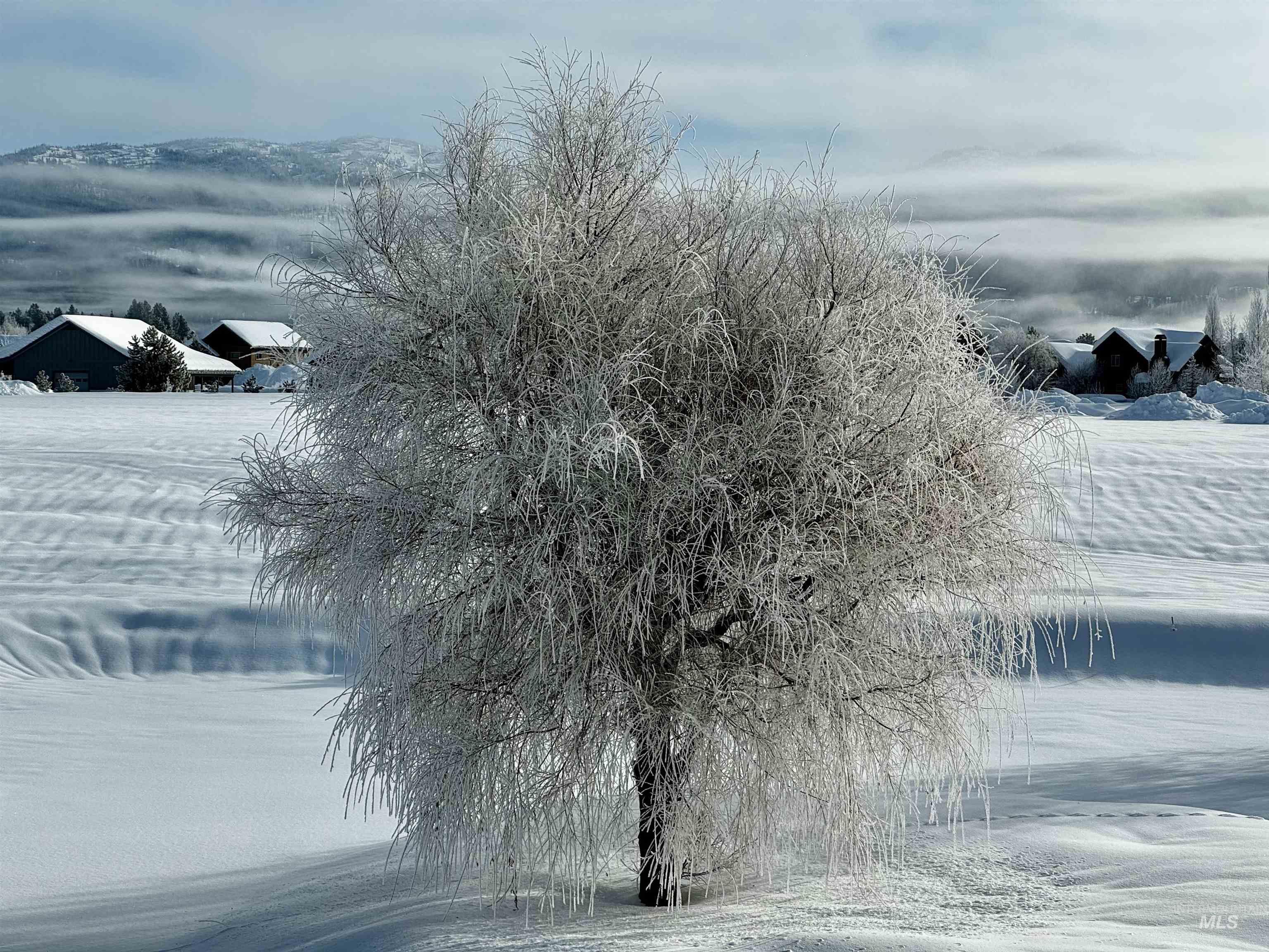 View of property's community