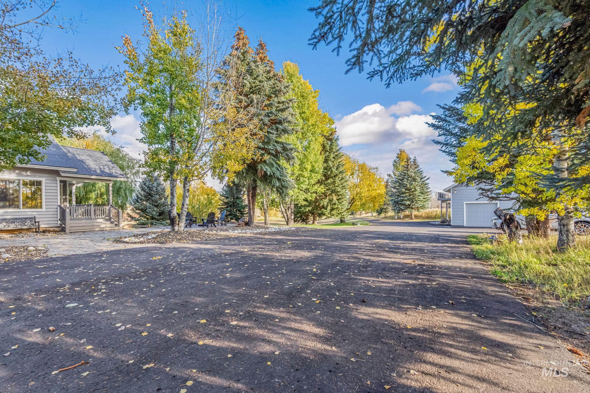 View of asphalt driveway