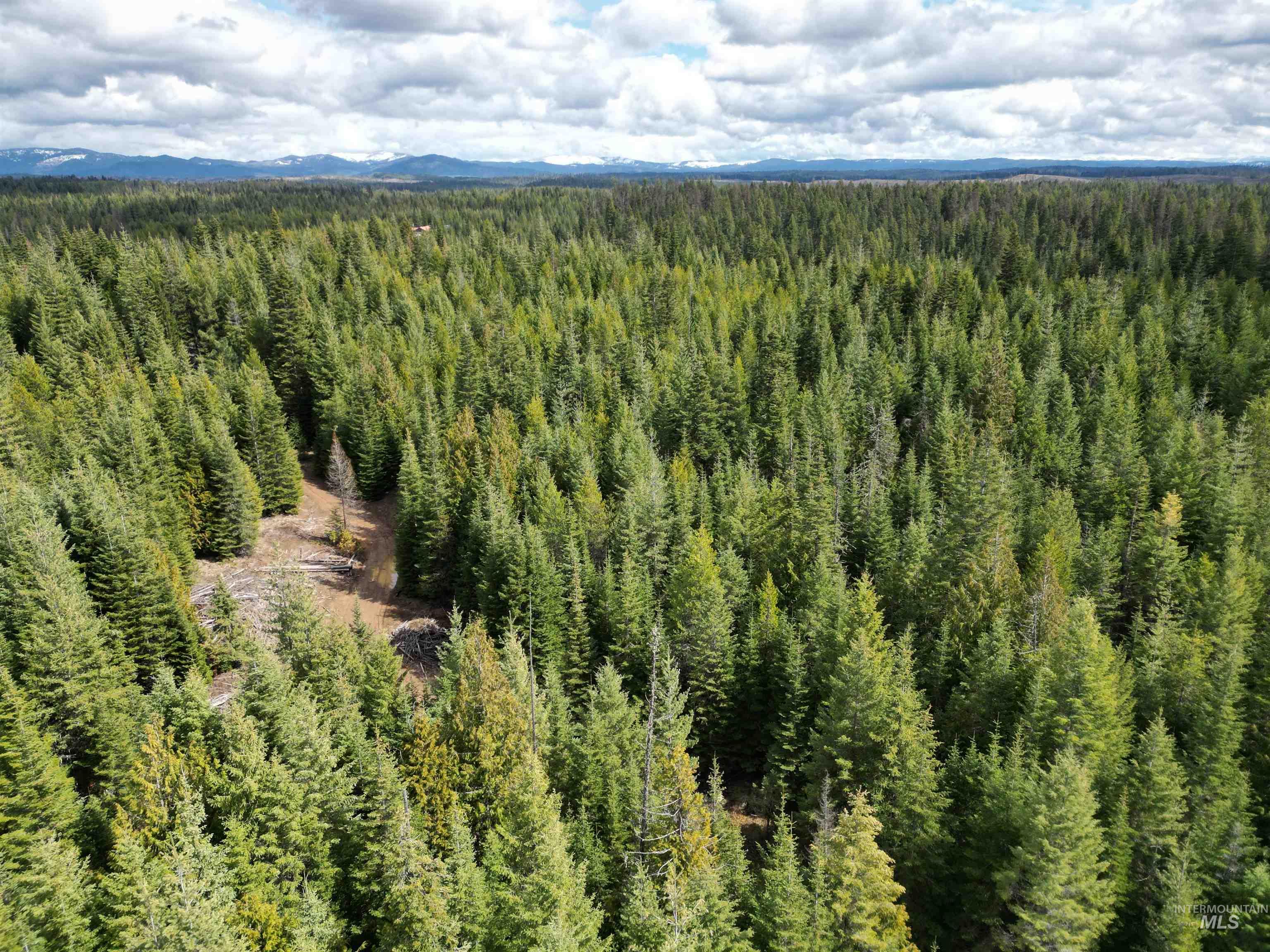 TBD Lot 11 Spring Lane