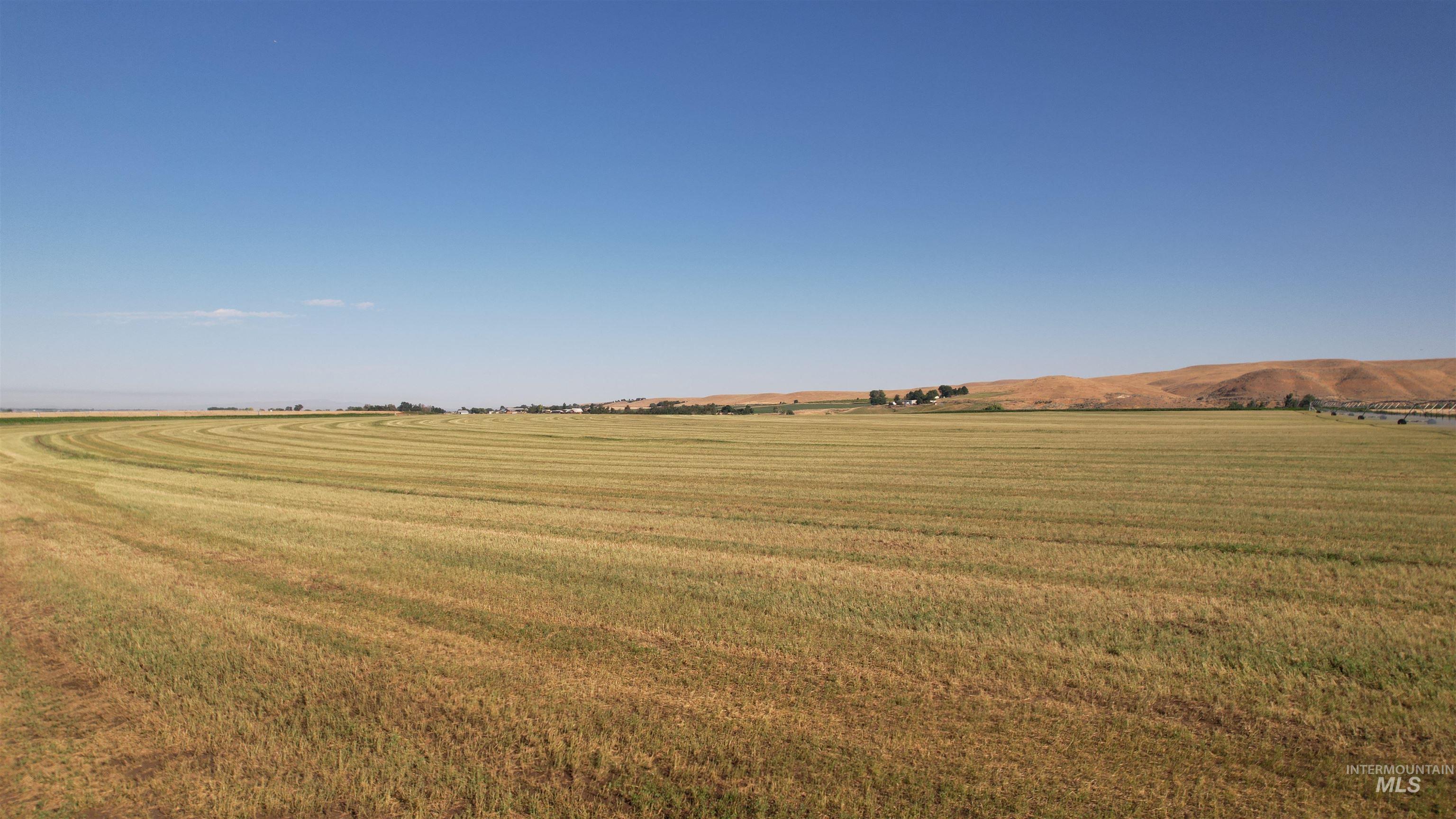 View of grassy yard with a rural view