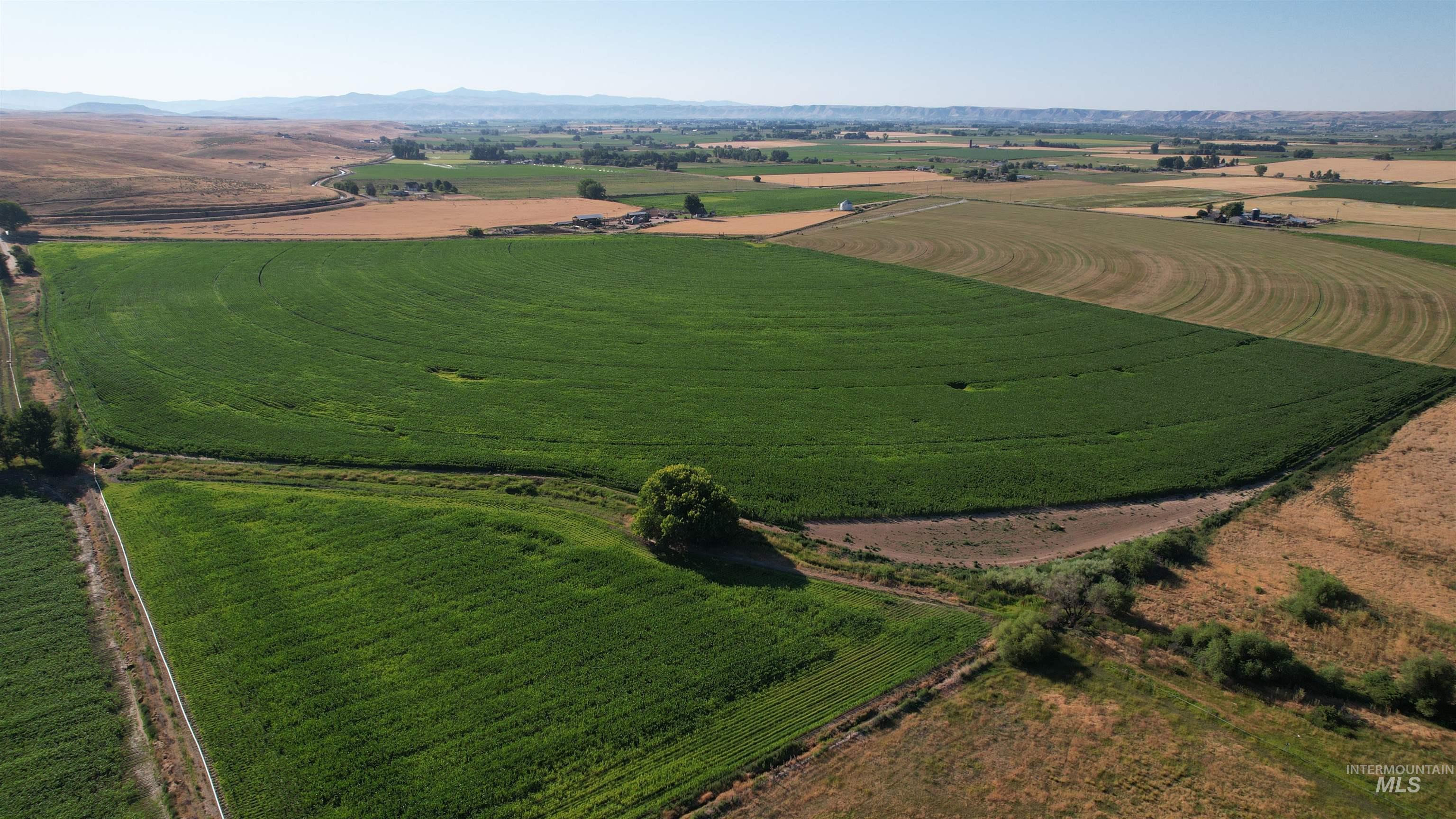 Overview of rural landscape with extensive farmland and a mountain backdrop