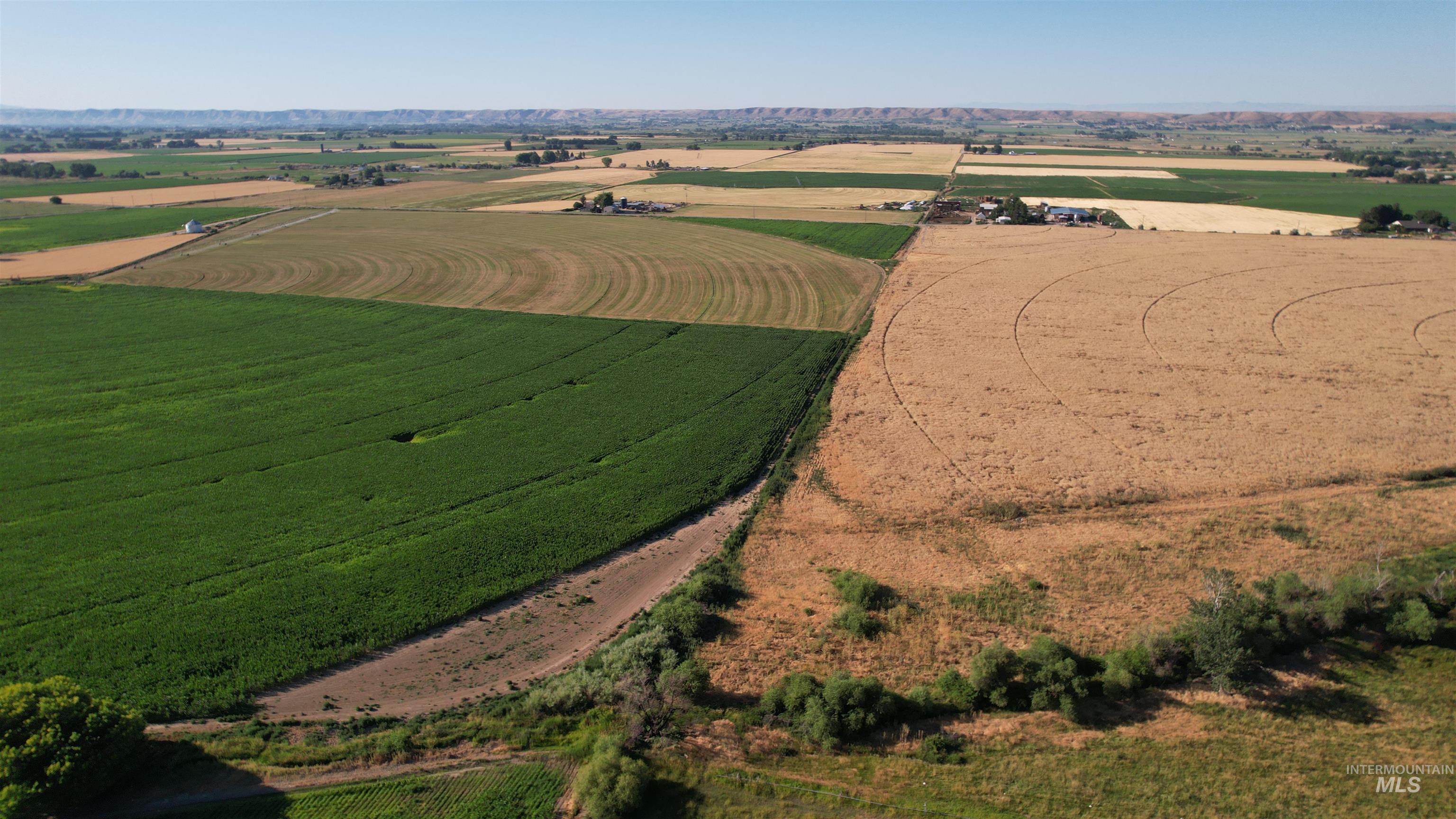 Aerial view of sparsely populated area featuring rows of crops