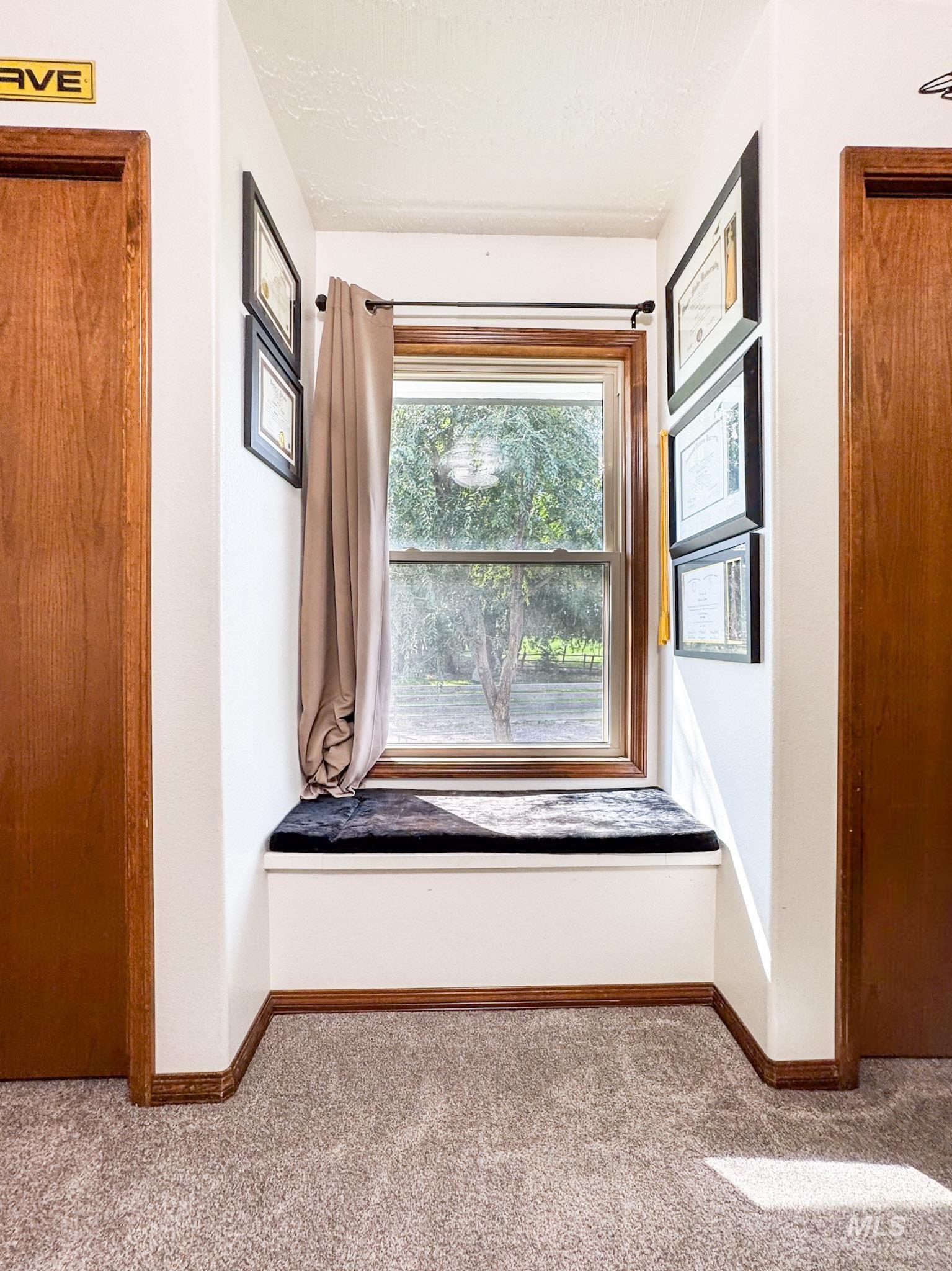 Unfurnished room with carpet flooring and baseboards