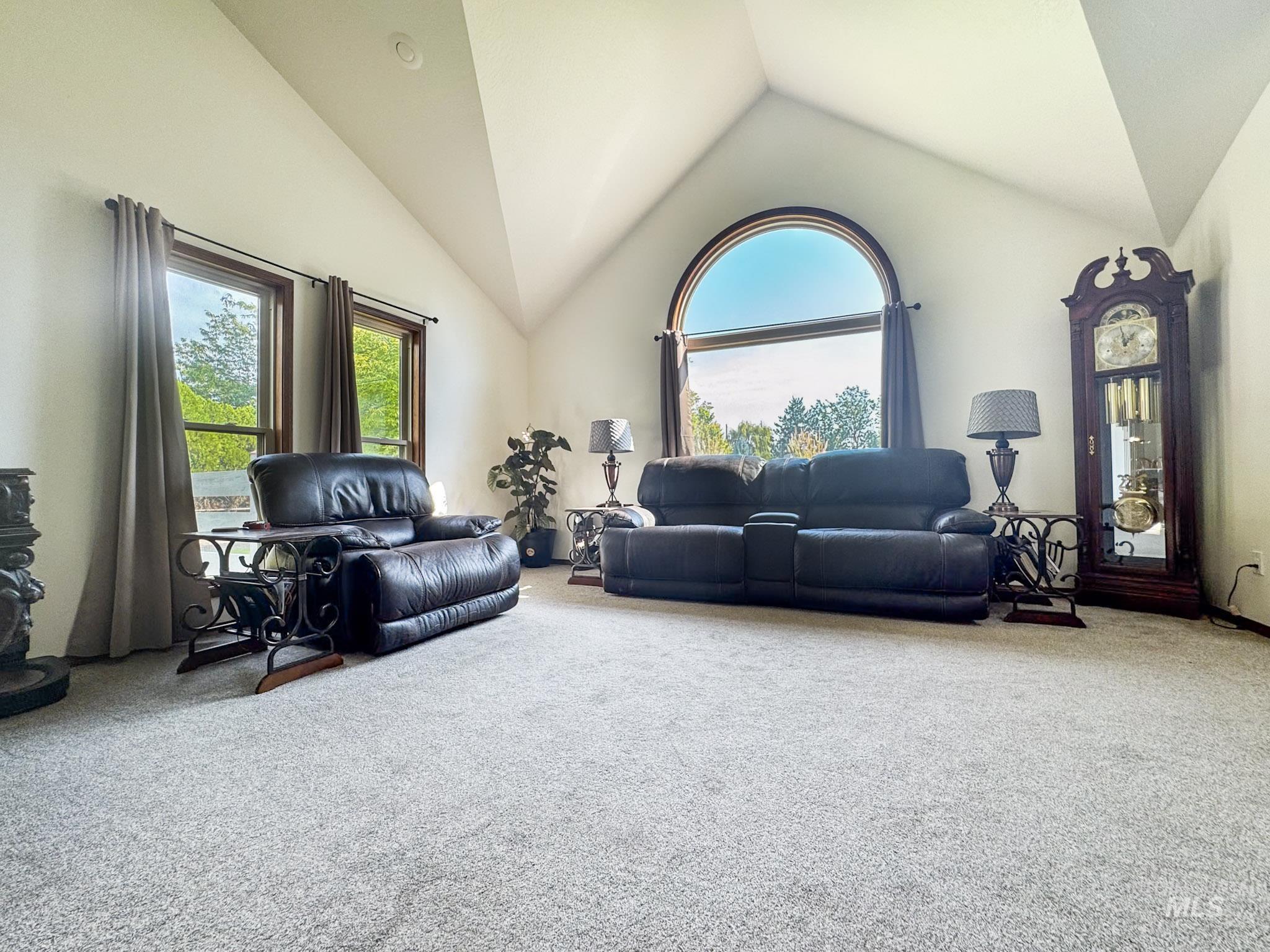 Living room with carpet, a wood stove, and high vaulted ceiling