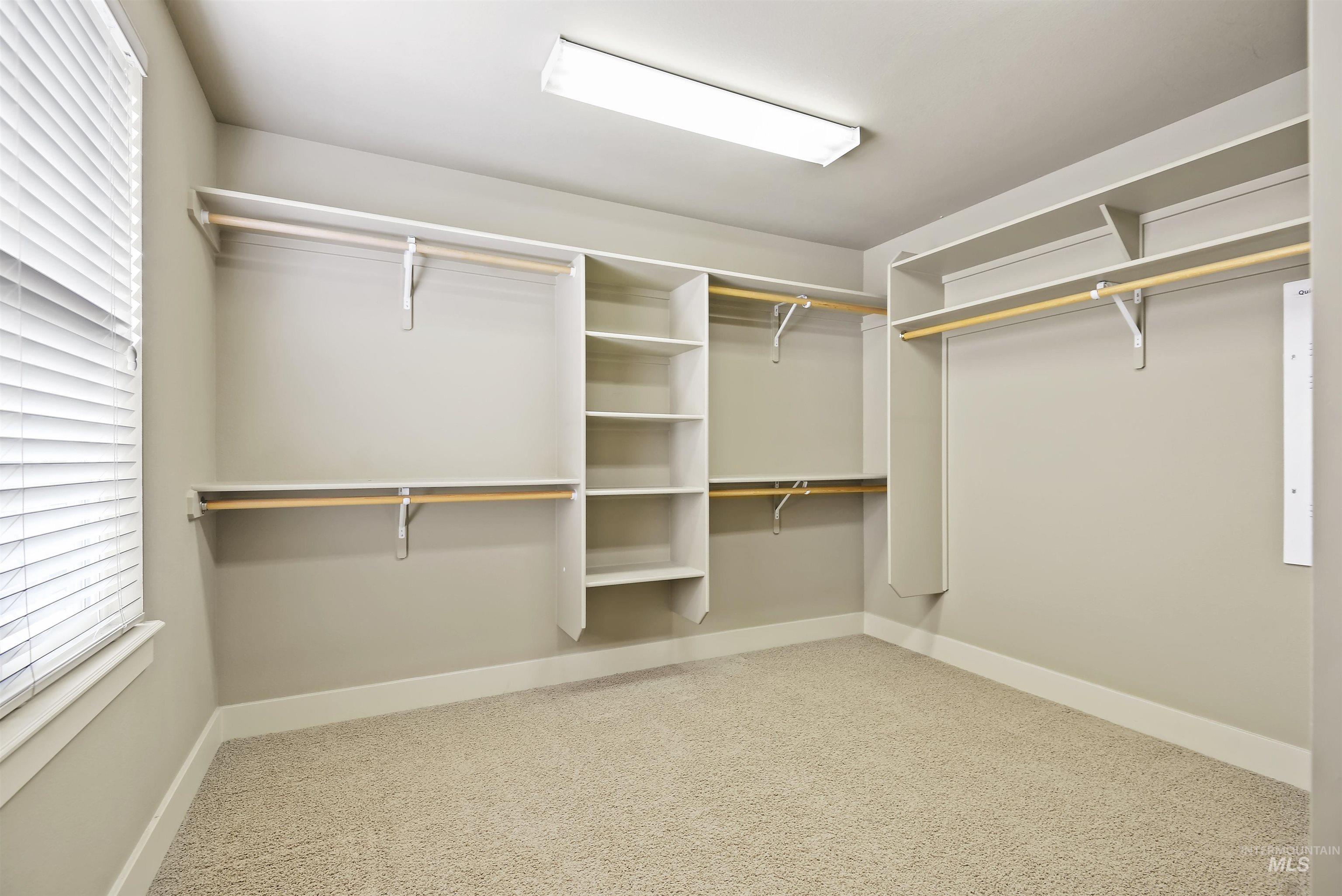 Walk in closet with light colored carpet