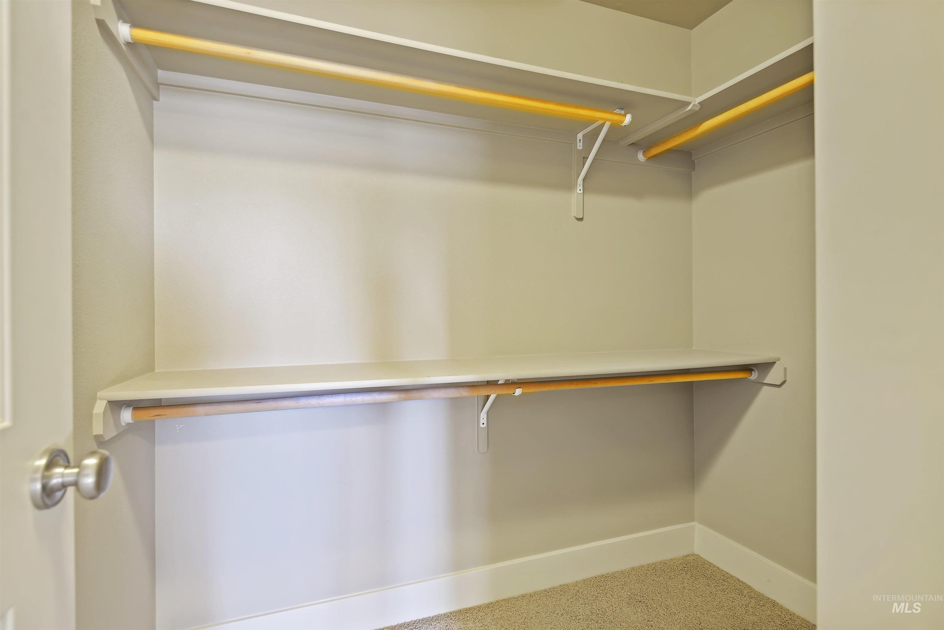 Walk in closet featuring carpet floors