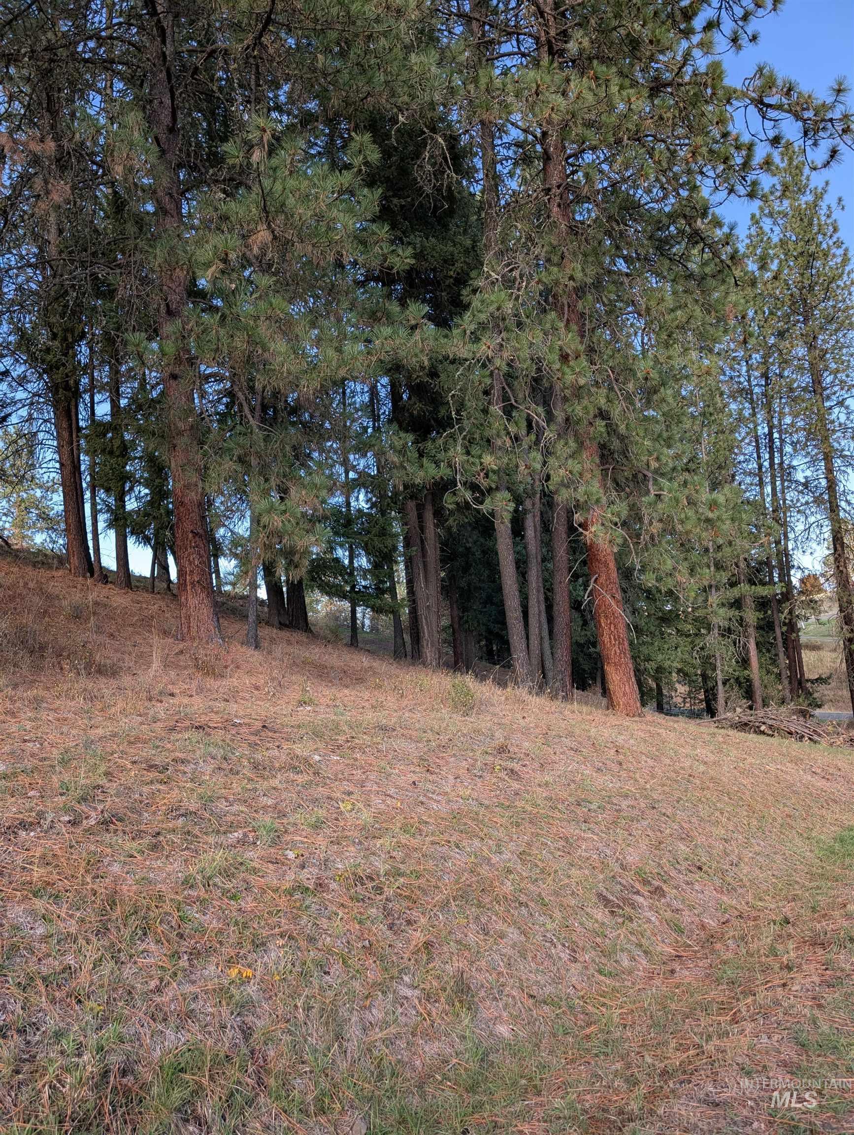 784 Leitch Creek Road