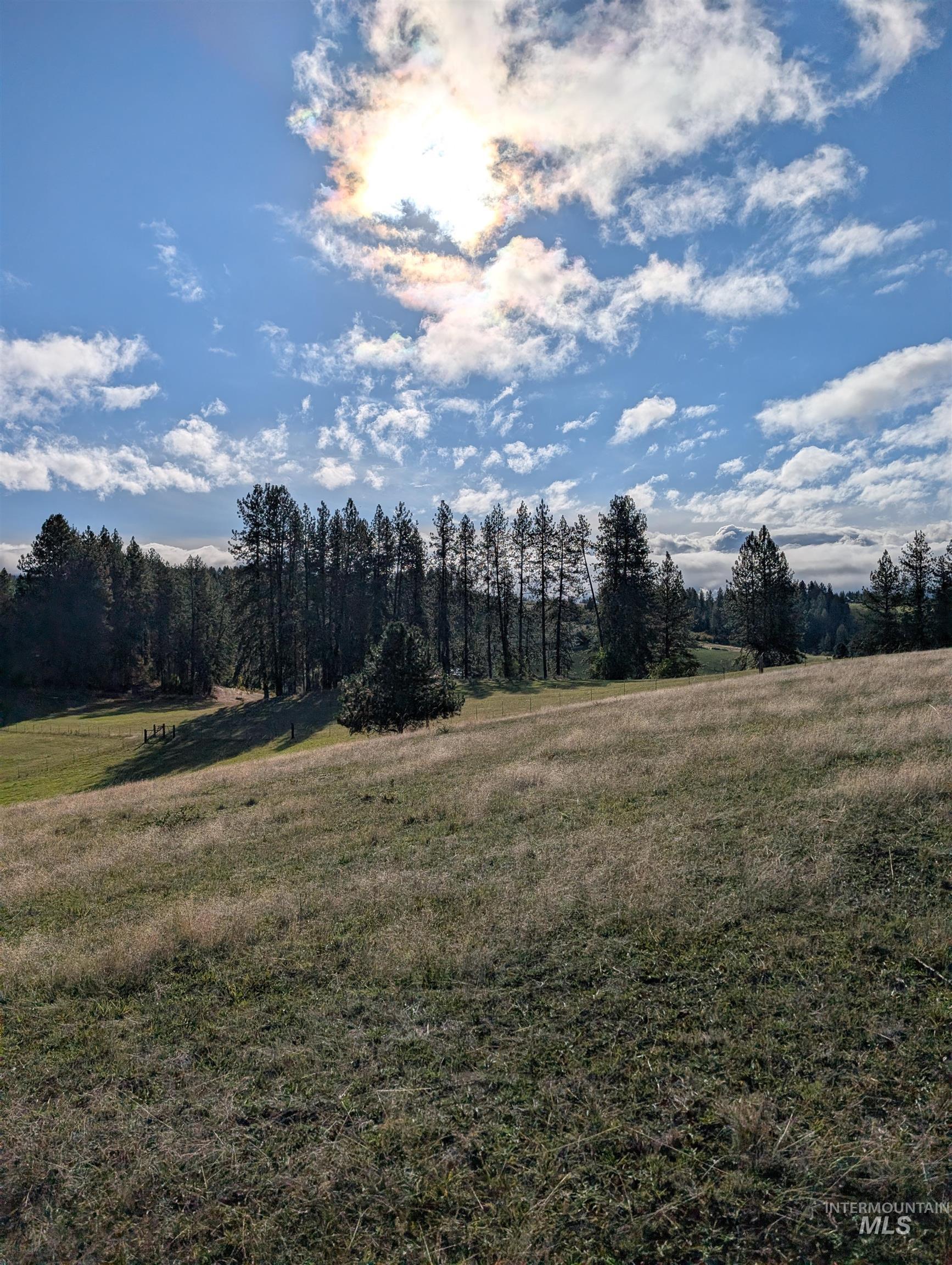 784 Leitch Creek Road